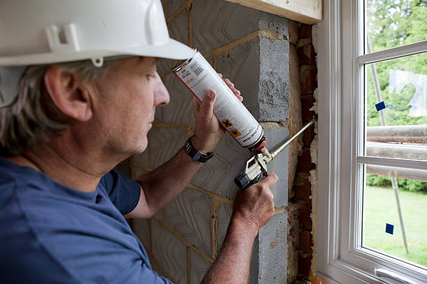 Best Insulation for New Construction  in Haines, AK